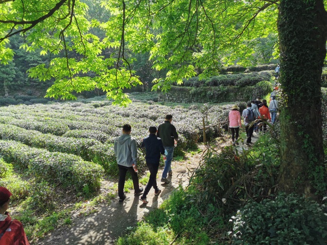 IT背包客第八期｜在杭州，和CIO们一起享受春日浪漫