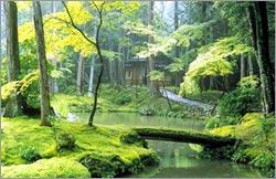 春草园